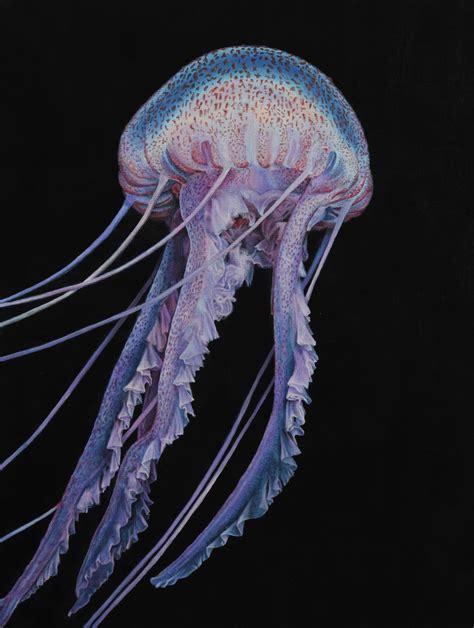 Purple Jellyfish arrives in Greece in first months of 2023 (map)