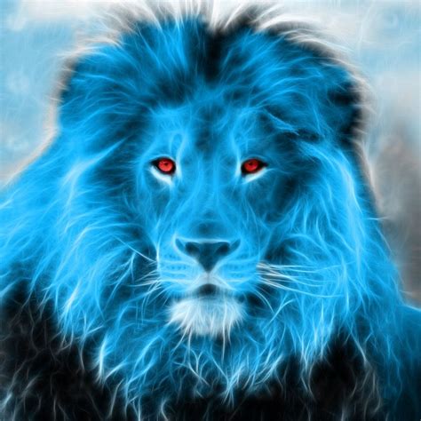 Blue Lion Wallpapers - Wallpaper Cave