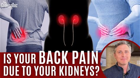 Is Your Back Pain Due to Your Kidneys? | The Cooking Doc® - YouTube