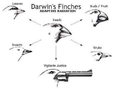 Darwin's theory of evolution the origin of species - cgfer