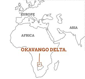 Okavango Delta travel guide