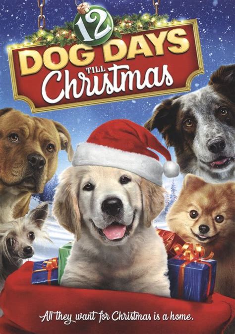 Best Buy: 12 Dog Days Till Christmas [DVD] [2014]