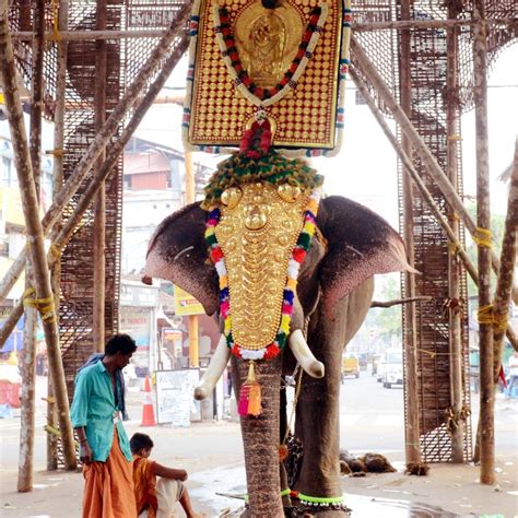 Elephants in Rituals and Festivals of Kerala | Sahapedia