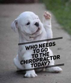 20 Best Chiropractic Memes images | Chiropractic, Chiropractic humor, Chiropractic care