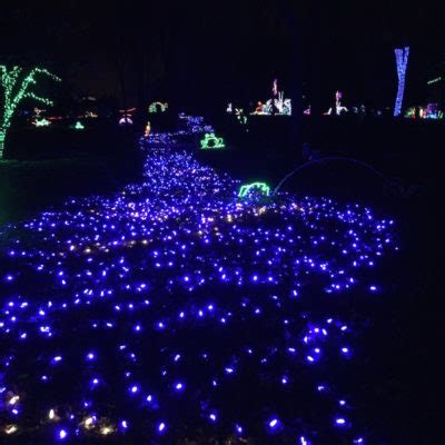 Meadowlark Botanical Gardens Winter Walk of Lights - Adventures in DC