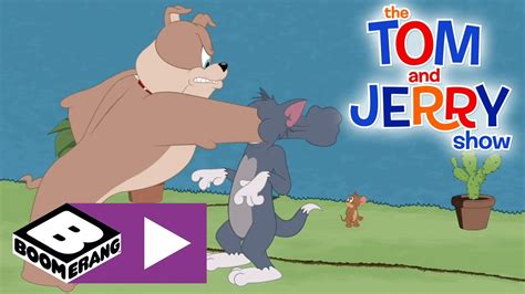 The Tom And Jerry Show