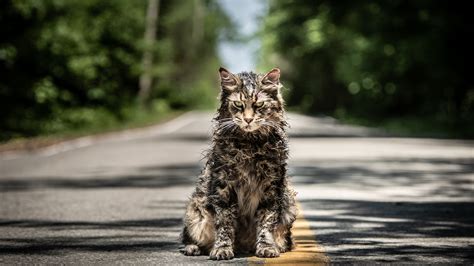 1920x1080 Pet Sematary Movie 2019 Laptop Full HD 1080P ,HD 4k ...