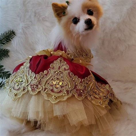 Princess Dog Dress Snow White Inspired Dog Costume Fancy dog dress ...