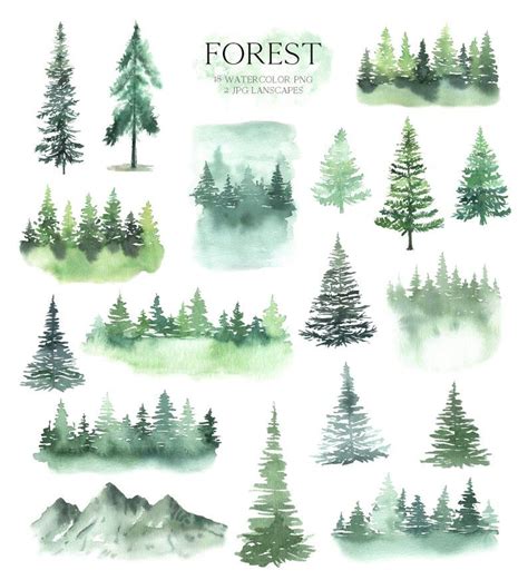 Watercolor Forest tree Clipart. Woodland pine trees, landscapes ...