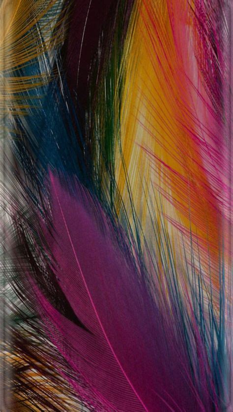 colorful feathers | Feather wallpaper, Colorful wallpaper, Colorful ...