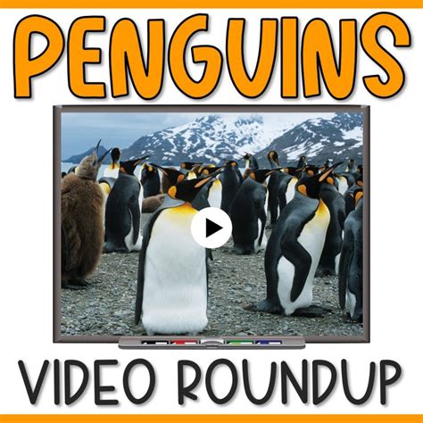 30 Perfect Penguin Videos for Your Kindergarten Class