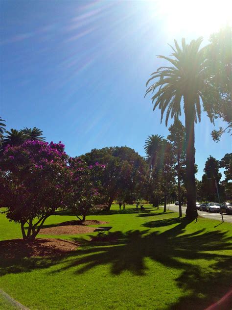 Centennial Park, Sydney