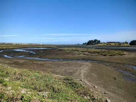 Elkhorn Slough Photographs - Take the Classroom Outside