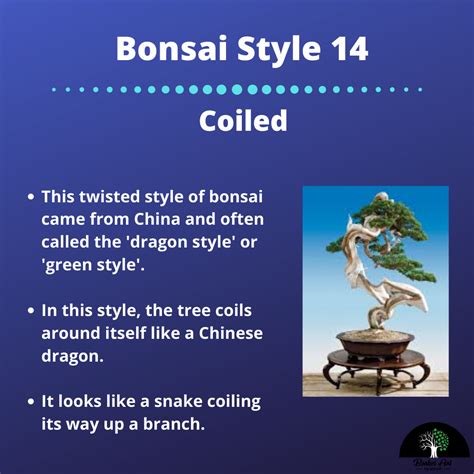 Pin on Bonsai Basics