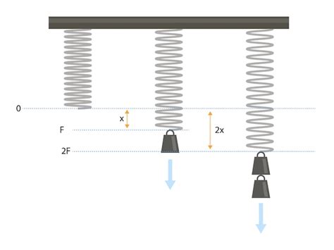 Premium Vector | Hookes law Physics spring force Weight equation and ...