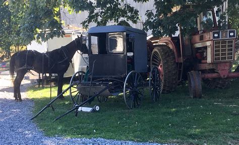 Amish Buggy for sale compared to CraigsList | Only 3 left at -70%