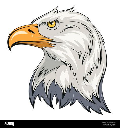 Eagle. Vector illustration of a soaring bald eagle. National symbol of ...