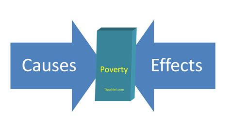 The causes effect and remedies for poverty