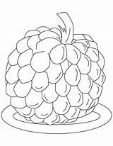 Sugar Apple coloring pages  Download Free sketch template