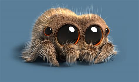 ‘Lucas The Spider’ Strikes Distribution Deal For Long-Form Series At Cartoon Network - Tubefilter