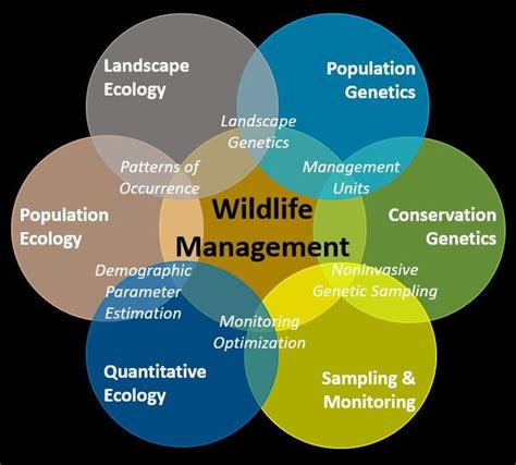 Research - Lonsinger Wildlife Ecology & Management Lab