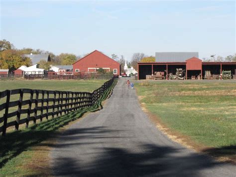 Frying Pan Farm Park to host first-ever horse expo | FFXnow