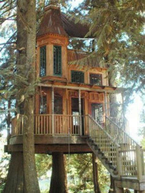 Amazing Tree Houses For Sale | Amazing tree house | Tree Houses | Cool tree houses, Tree house ...