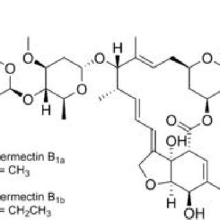 (PDF) Production and Screening of High Yield Avermectin B1b Mutant of Streptomyces avermitilis ...