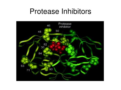 PPT - Protease Inhibitors PowerPoint Presentation, free download - ID:1225243