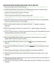 Photosynthesis Review Questions - AP Biology | Course Hero