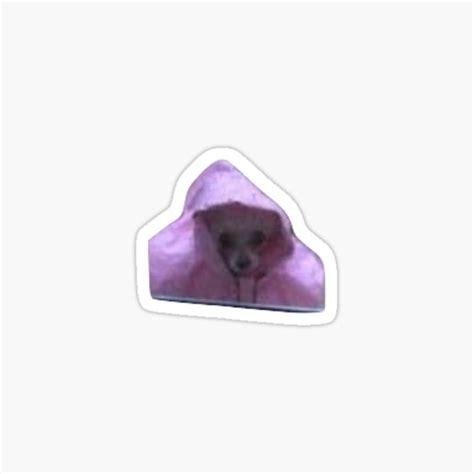 "pink raincoat dog meme" Sticker for Sale by tayliero | Redbubble