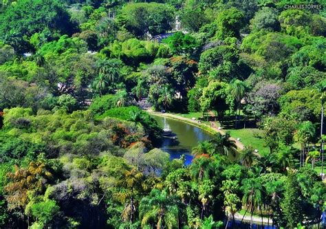 Parque Municipal de Belo Horizonte. | Belo horizonte, Horizonte, Parque