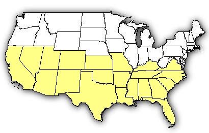 Map of US states the Brown Widow is found in.