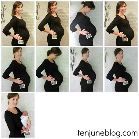 Cute Pregnancy Photos Week By Week