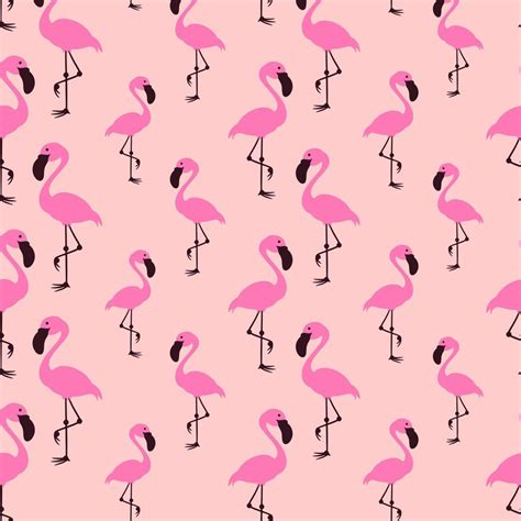 Flamingo seamless vector pattern background 6044757 Vector Art at Vecteezy