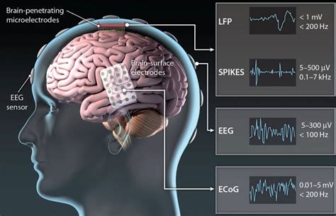 Brain-Machine Interface Technologies - Bannari Amman Institute of ...