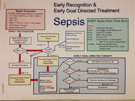 Sepsis Treatment / Sepsis - Causes, Signs, Symptoms, Diagnosis ...