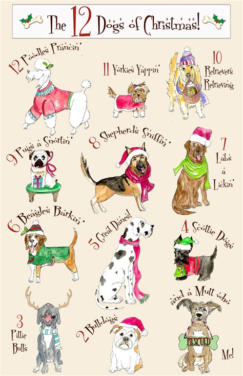 12 Dogs of Christmas Christmas Card Set of 8!