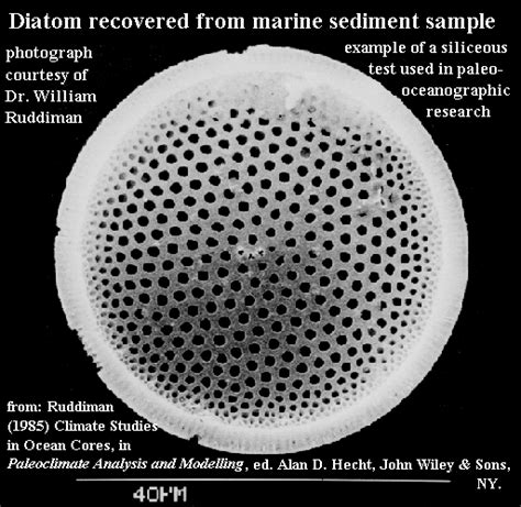 What Can You Find in Marine Sediment ? | NCEI