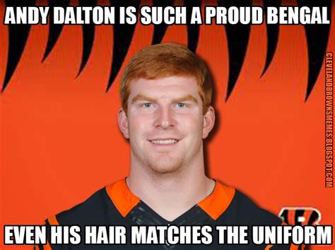 Bengals Memes