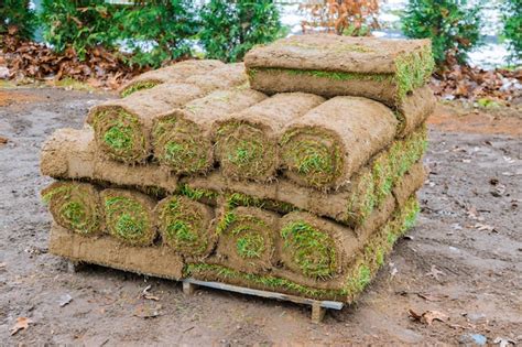 Premium Photo | Stack of turf grass rolls for a lawn fresh grass to ...