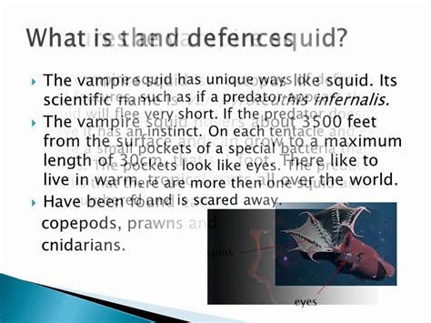 Vampire squid facts - YouTube