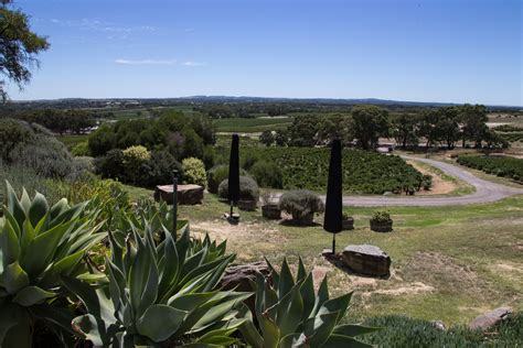 Day 33 - Barossa Valley · Daerr.com · Underwater. Photo. Stories.