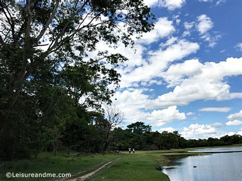 Lake-Dambana-Sri-Lanka - Leisure and Me