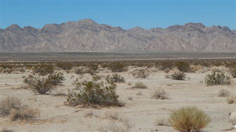 Mojave Desert | California desert, Us national parks, National parks