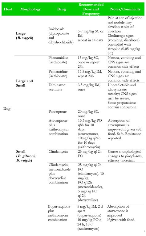 Babesia - Troccap