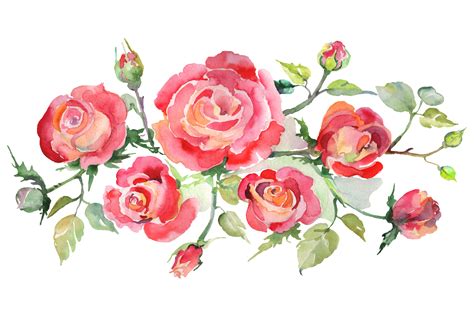 Bouquet with roses red Watercolor png (240063) | Illustrations | Design Bundles