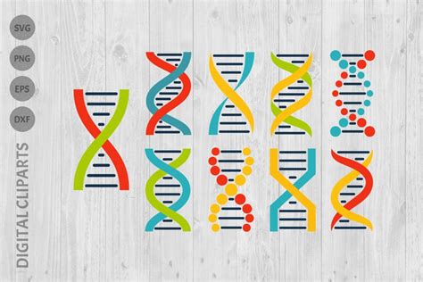 Vector DNA Structure. Cartoon illustration