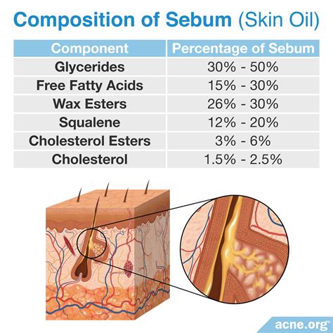 How Fatty Foods Affect Acne - Acne.org