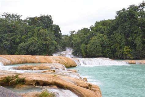 Guide to Visiting the BEST Waterfalls in Palenque (that you can't miss!)